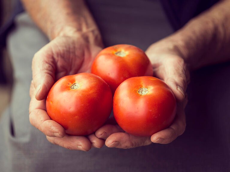 Tomate en mano 1